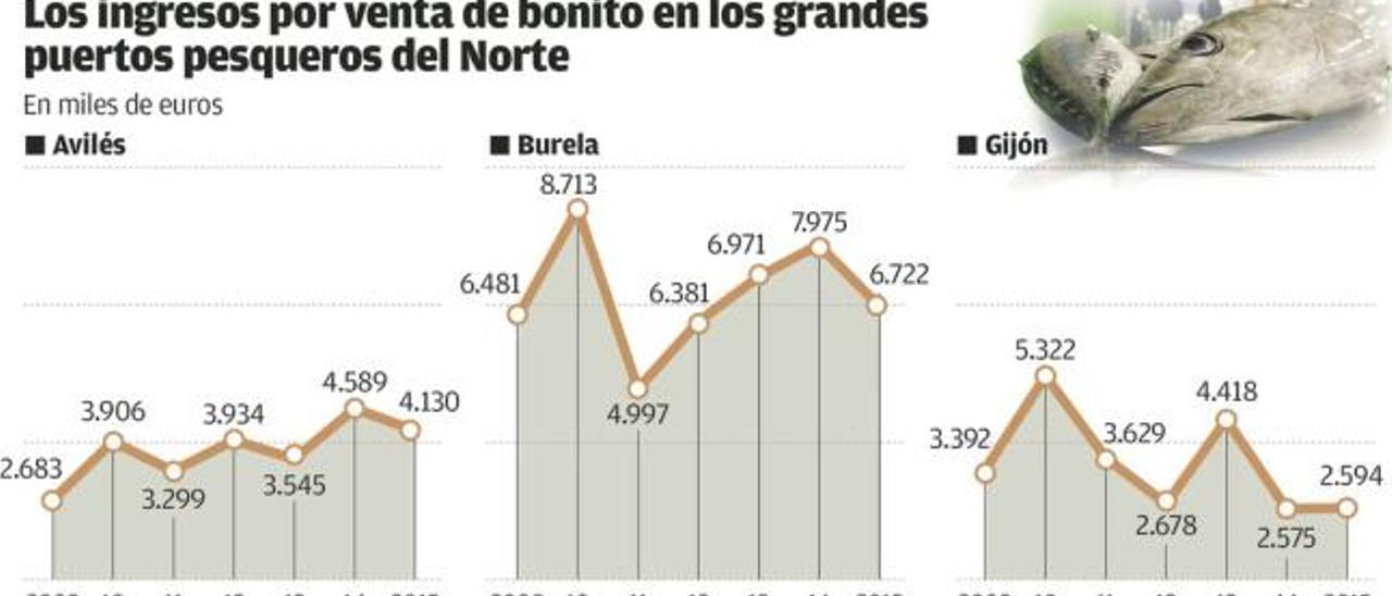 El bonito descargado en Avilés es el más cotizado de las principales rulas del Norte