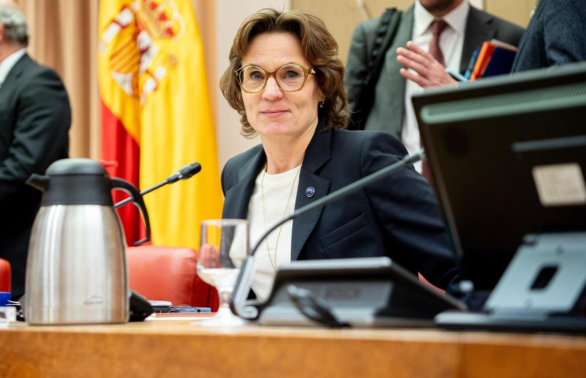 Roswall, el jueves, en el Congreso de los Diputados.