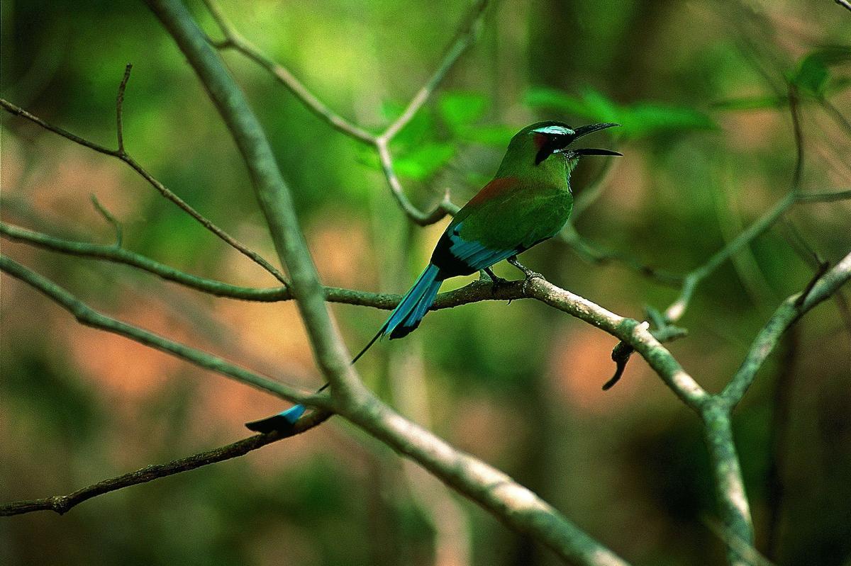 Barra Honda, Costa Rica