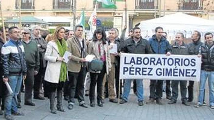 Trabajadores de Pérez Giménez piden el apoyo del Ayuntamiento