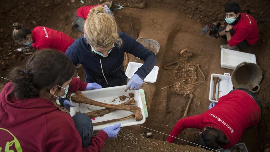 Restos encontrados hoy en la fosa del cementerio civil de Castelló