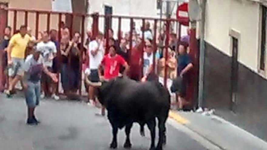 Un vecino de Borriol se convierte en la sexta víctima mortal de los &quot;bous al carrer&quot;