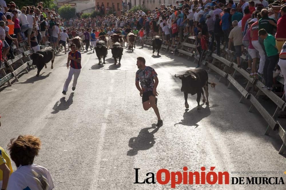 Segundo encierro de Calasparra