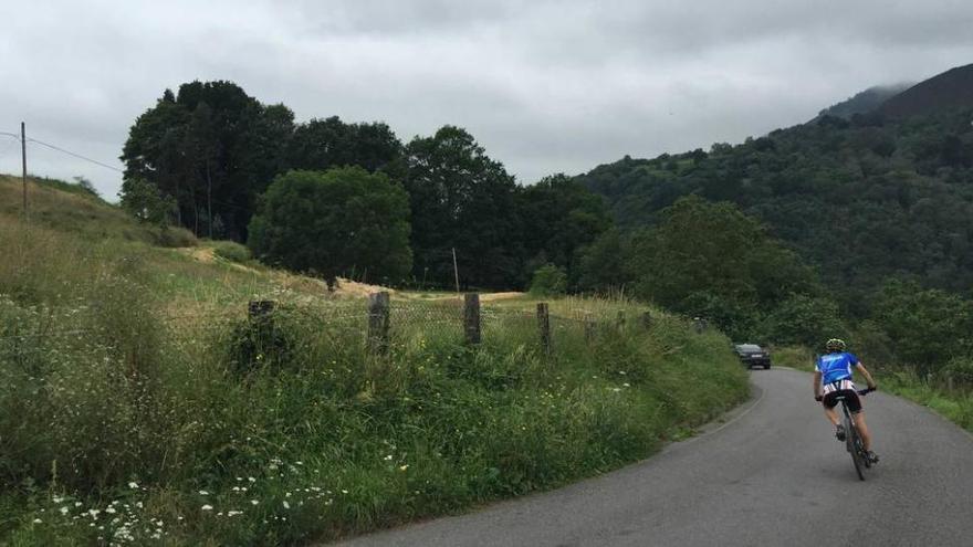 La zona de Ñeda (Cangas de Onís) en la que se pretende construir un campo de golf.