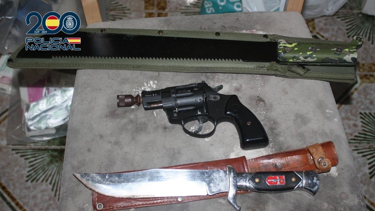 Armas intervenidas por la Policía