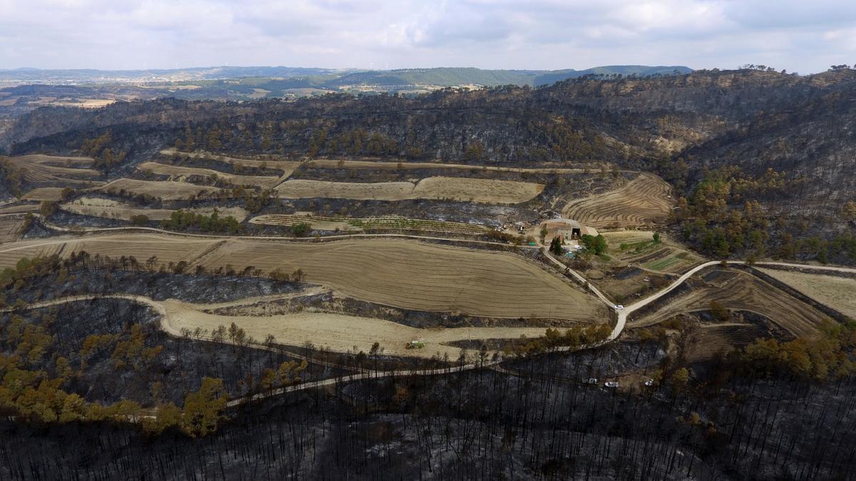 Zones forestals i agrícoles afectades per l&#039;incendi de la Conca de Barberà i l&#039;Anoia