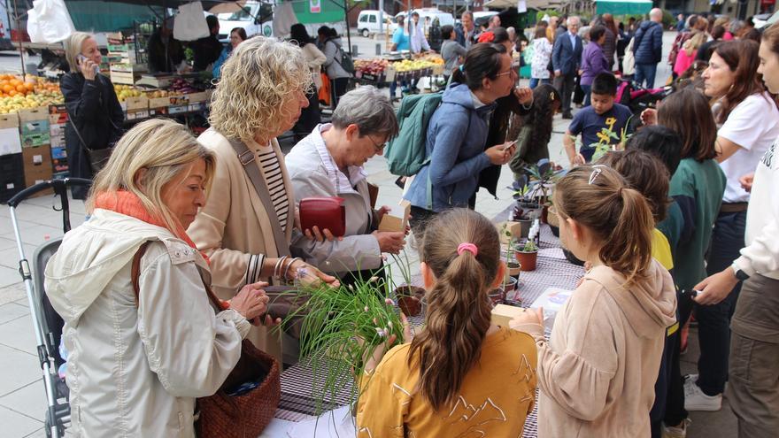 Set centres educatius de Girona participen en la venda de productes dels horts escolars