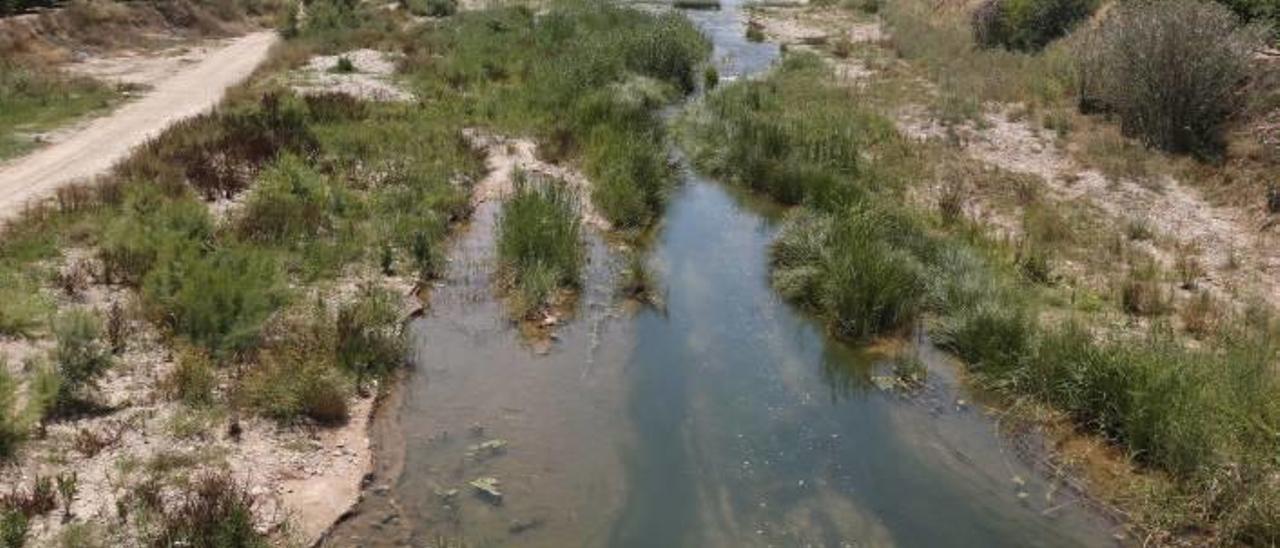 Tramo del cauce del río Sellent que le ayuntamiento pretende que se declare Paraje Natural Municipal.