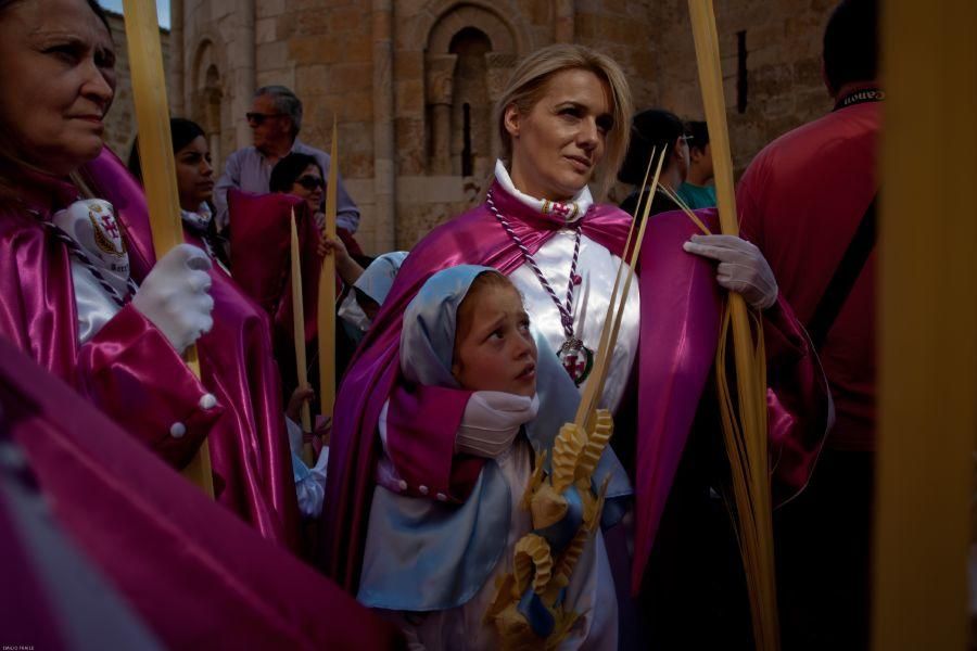 Semana Santa en Zamora: La Borriquita