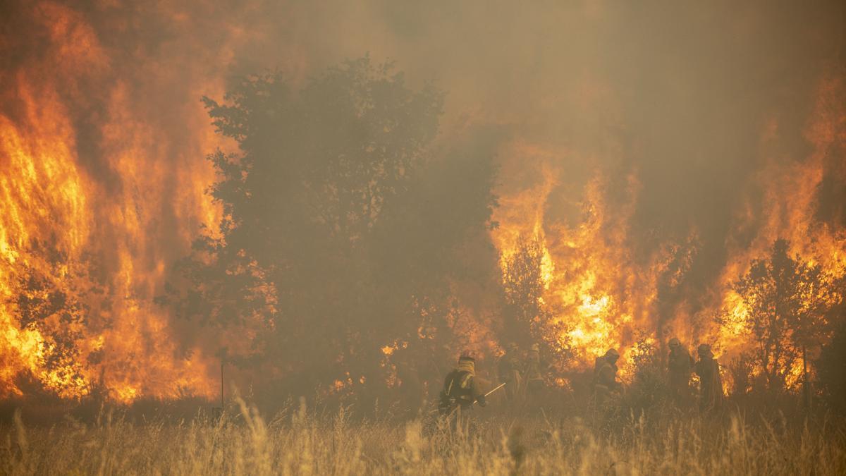 INCENDIO SIERRA DE LA CULEBRA. CALZADA DE TERA