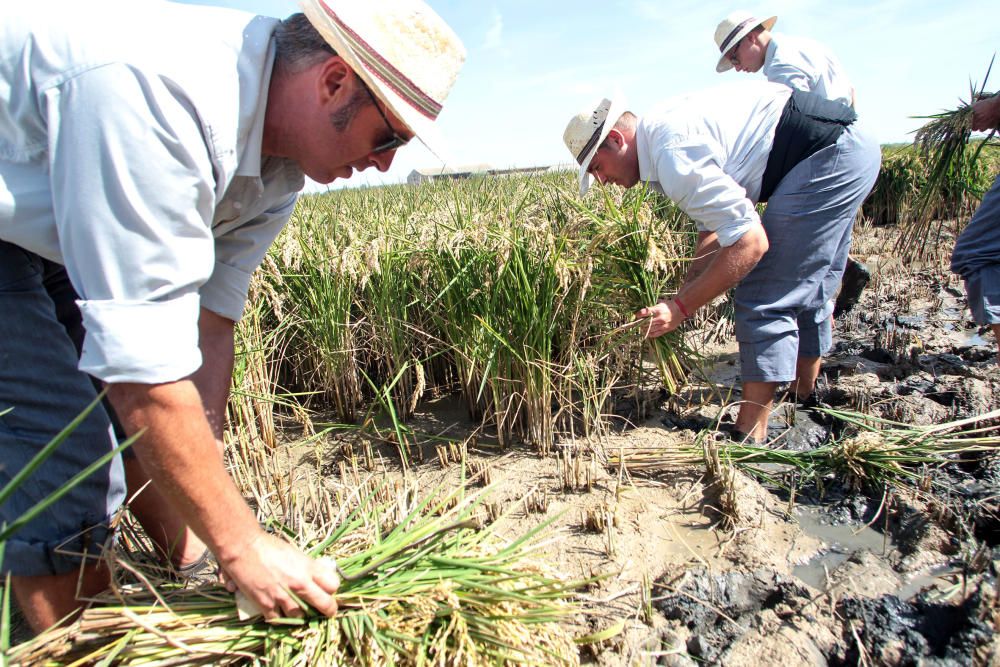 Fiesta de la Siega del Arroz