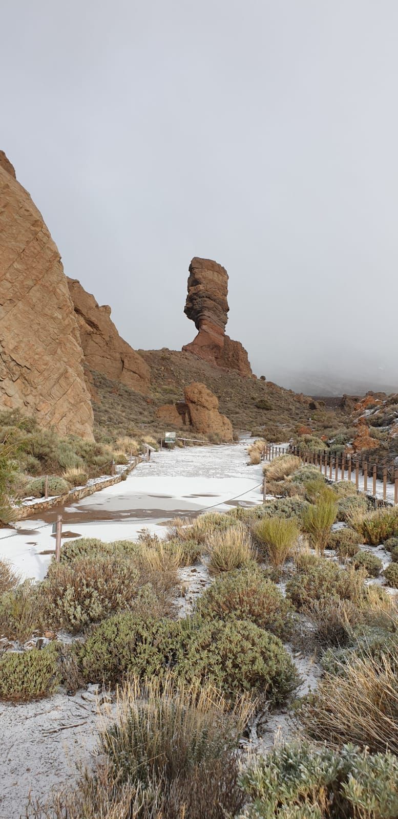 Las imágenes de la nevada en Tenerife