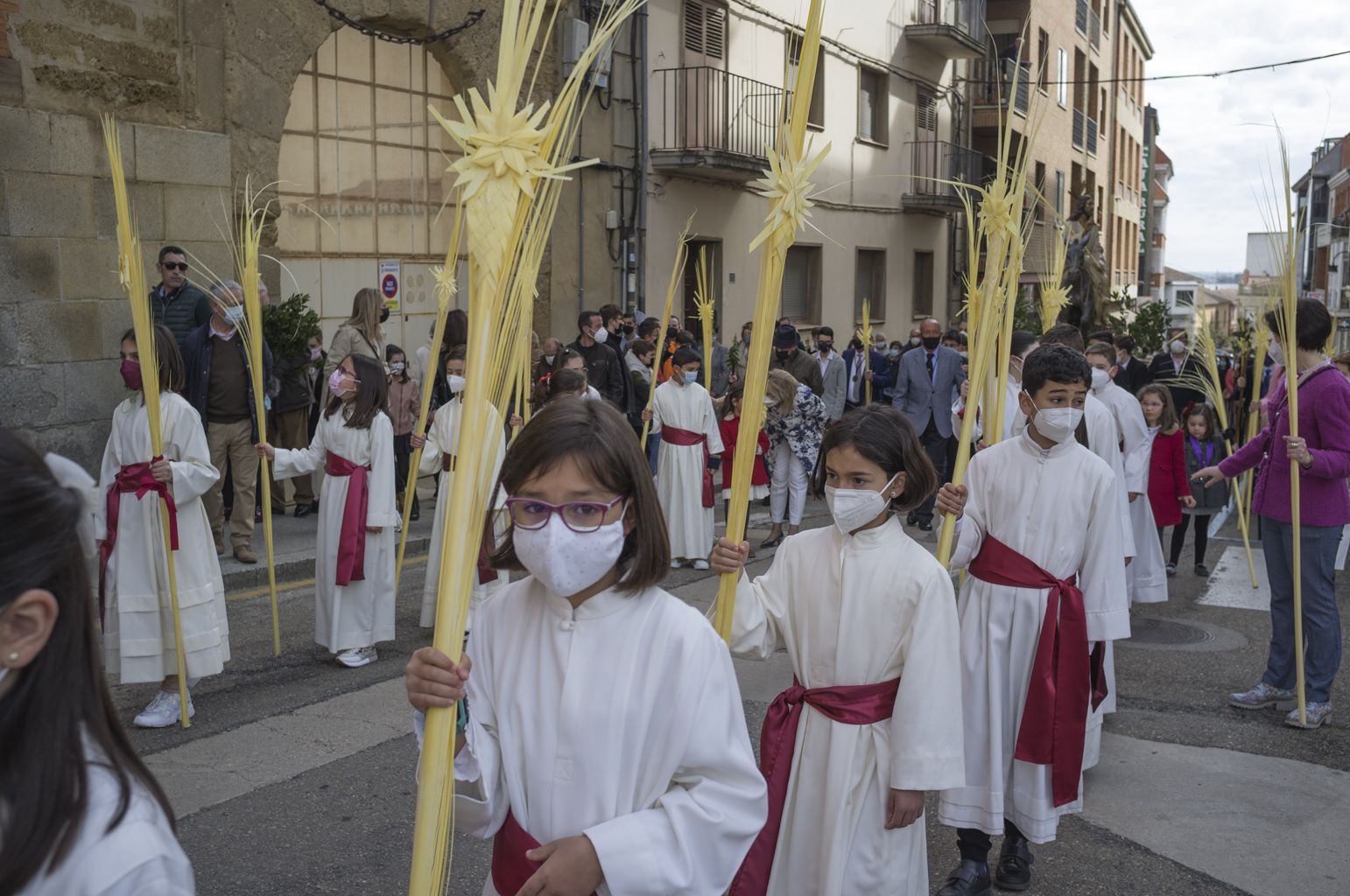 La procesión del Domingo de Ramos en Benavente en imágenes