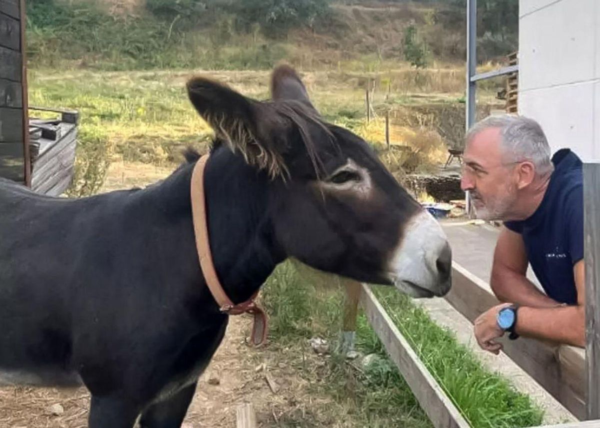 Risto, el burro que va avisar del foc Risto, el burro que va avisar del foc