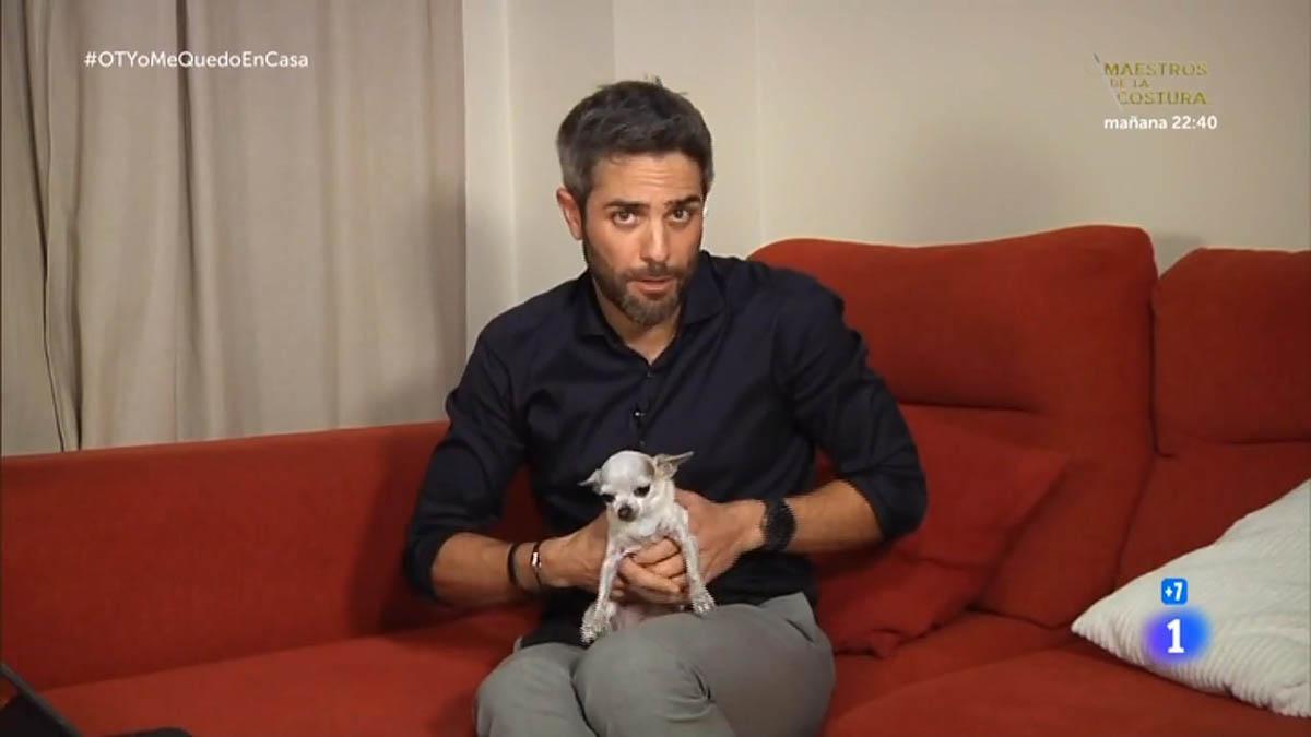 Roberto Leal y su chihuahua (’OT’, TVE-1).