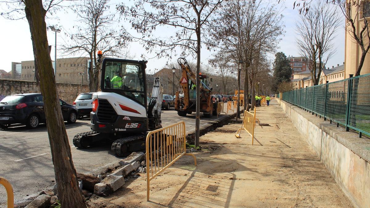 Obras en las aceras de la avenida Príncipe de Asturias de Zamora.