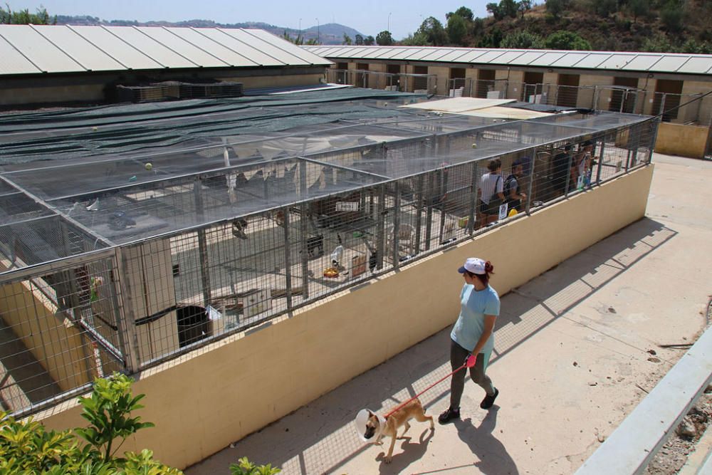 Visita a la Protectora de Animales y Plantas de Málaga