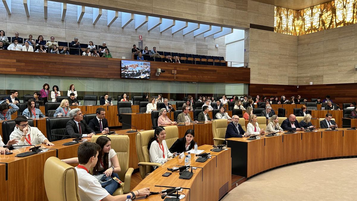 Los alumnos que han estado este miércoles en la Asamblea de Extremadura.