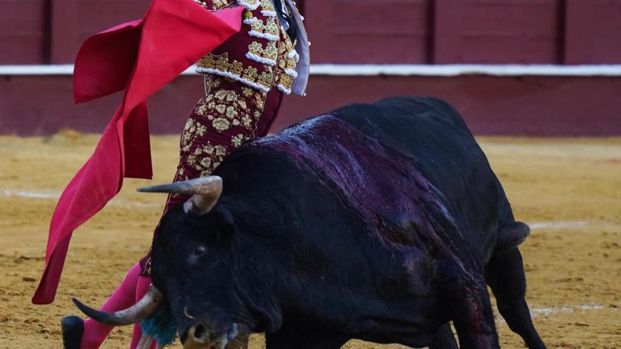 José María Manzanares, el protagonista de la Feria Taurina