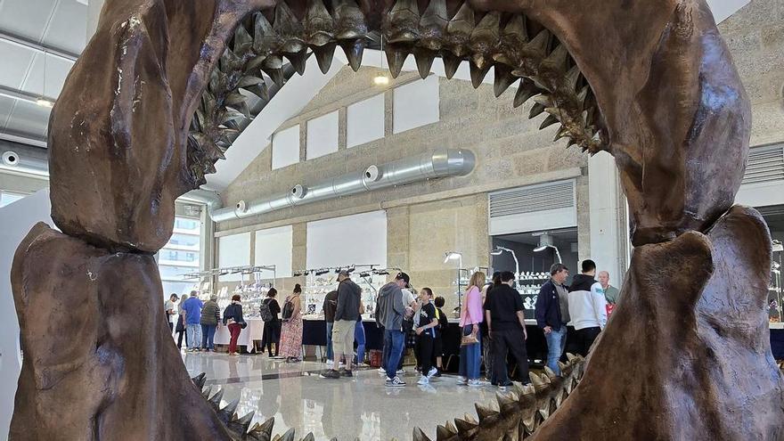 Minerales, fósiles, gemas y joyería artesana de todo el mundo se dan cita en el Tinglado del Puerto de Vigo
