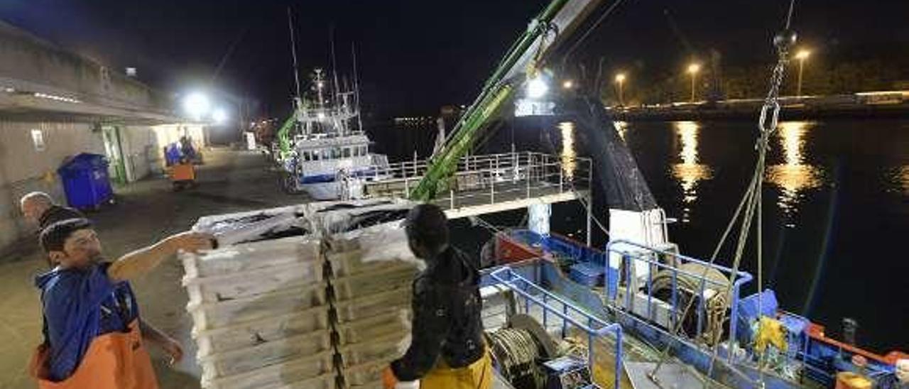 Decarga de xarda en Avilés.