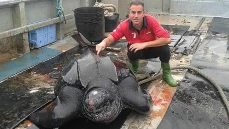 Unos pescadores de Castellón encuentran una tortuga laúd de más 200 kilos