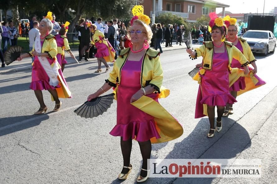 Desfile de Carnaval en Puente Tocinos (25-2-2017)