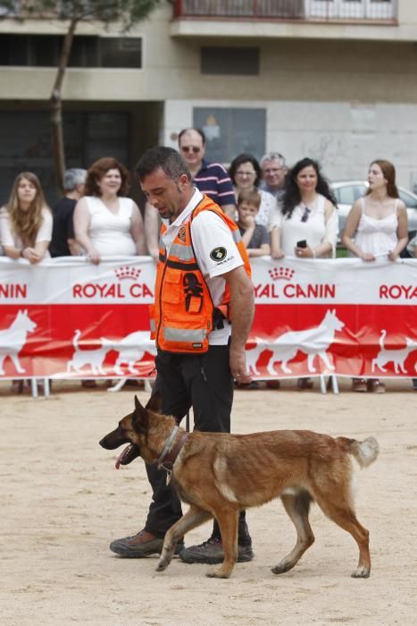 Fira animalista de Salt