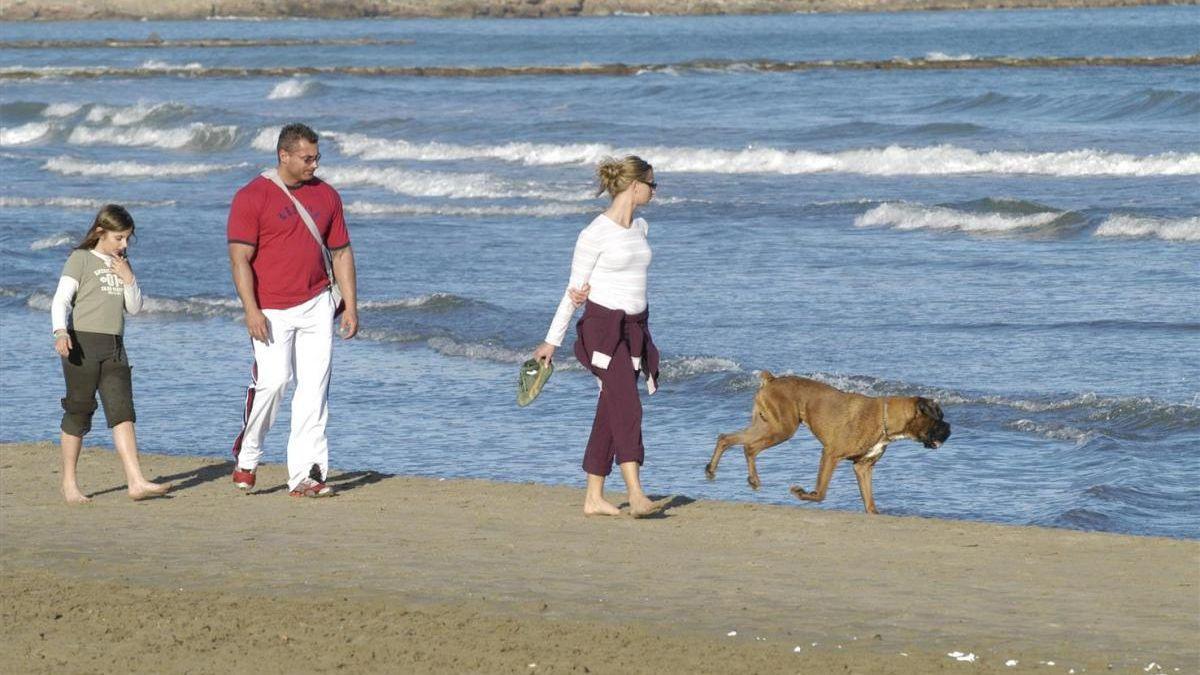 Castelló reabre la playa canina hasta el mes de marzo.