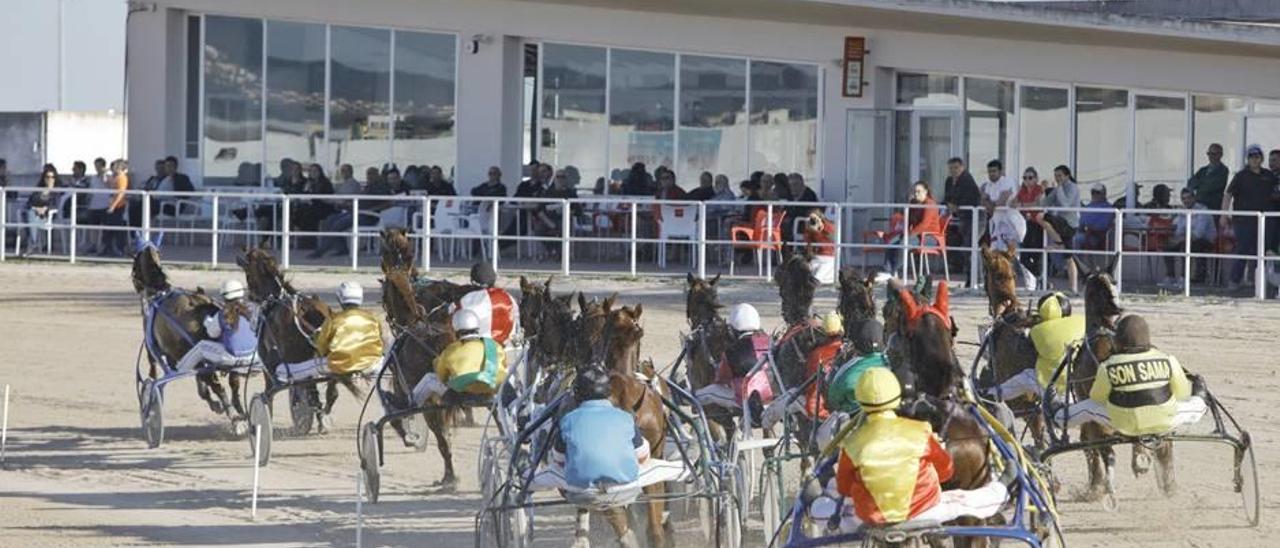 Un pelotón en carrera en la curva sur de Son Pardo.