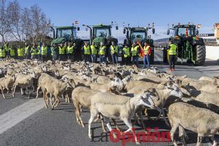 Manifestaciones de agricultores en Caravaca