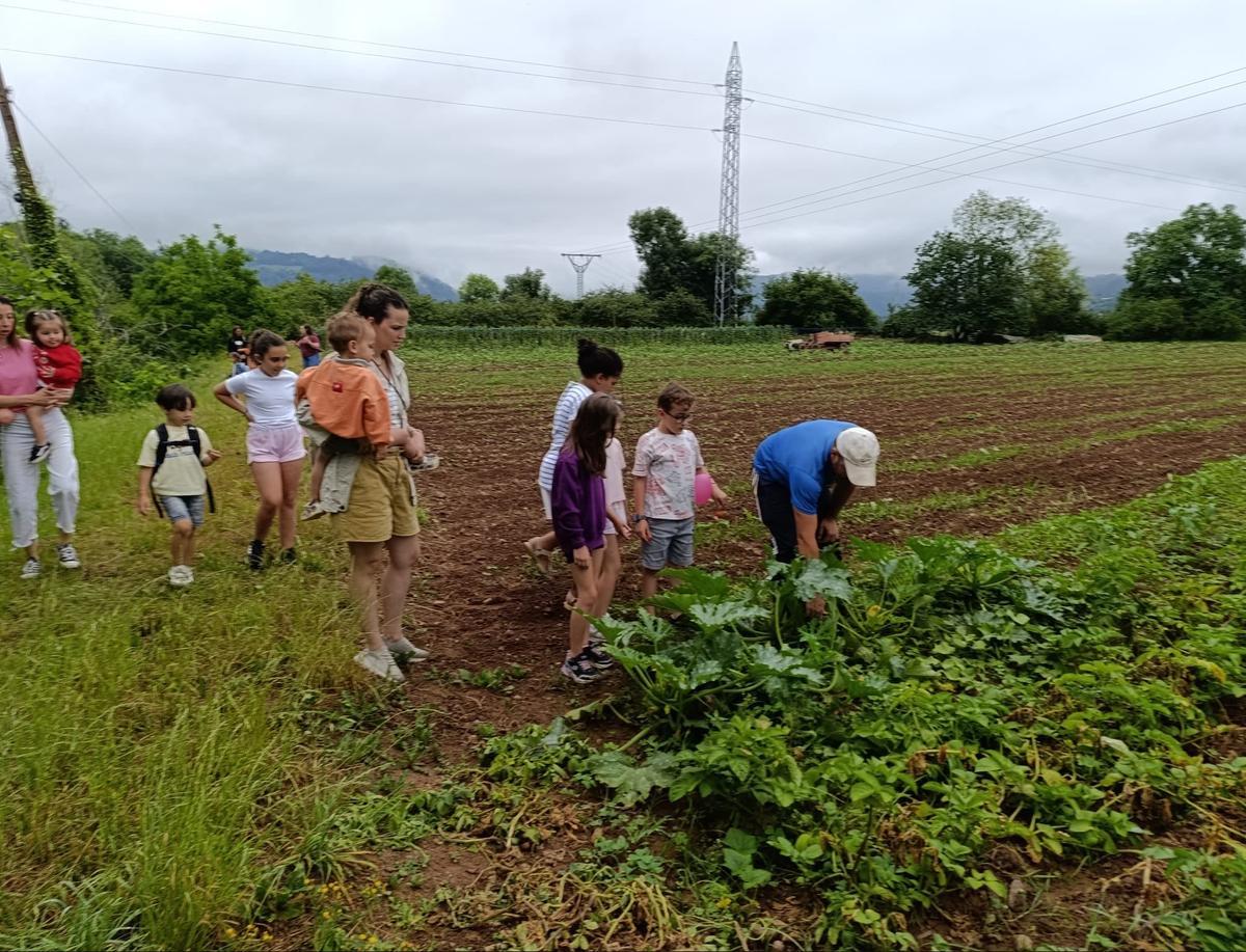 Actividades de fin de curso en la Escuela La Mata.
