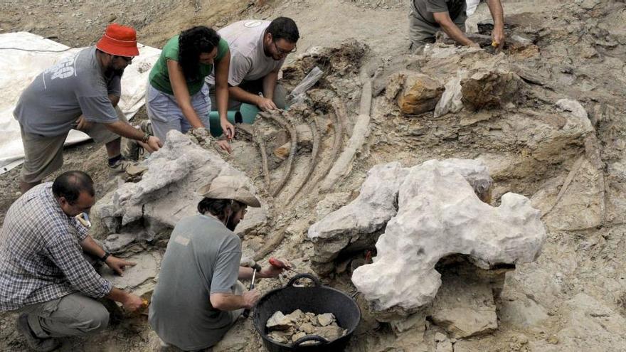 Paleontólogos trabajan en una excavación