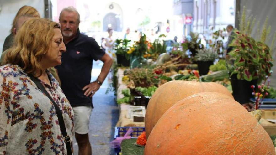 Visitantes en el certamen de la huerta del año pasado. | L. M. D.