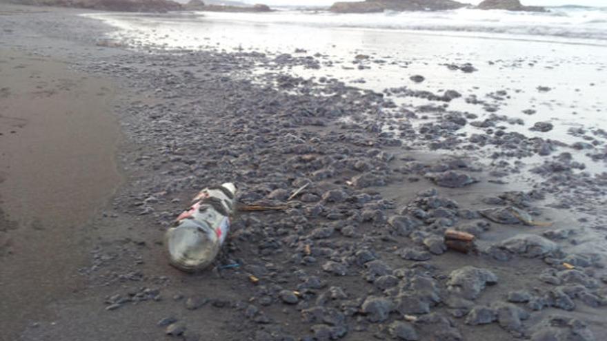 Restos del alquitrán sobre la playa de San Borondón, ayer. | del rosario