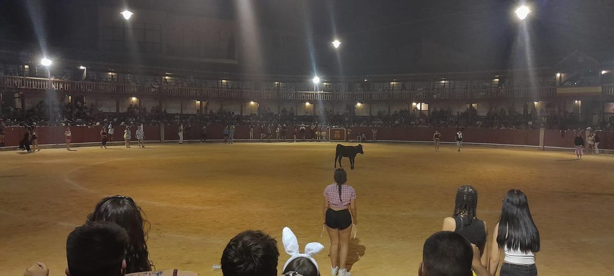 GALERÍA | La verbena taurina de las Fiestas de San Agustín de Toro, en imágenes GALERÍA | La verbena taurina de las Fiestas de San Agustín de Toro, en imágenes