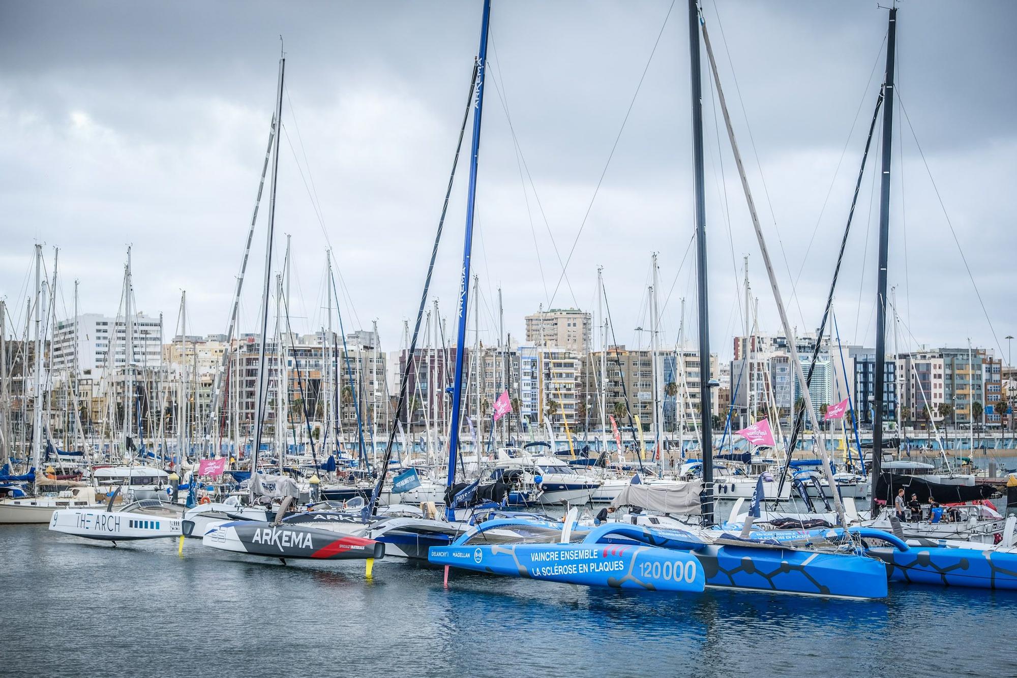 Trimaranes en el muelle deportivo