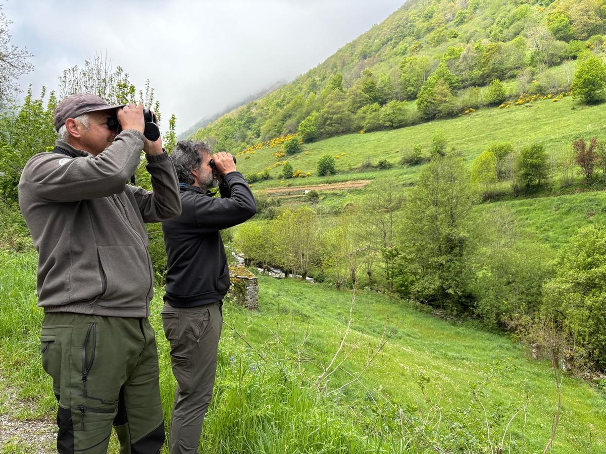 Chema Díaz y Reno Sommerhalder observan la ladera frente a Riomolín.