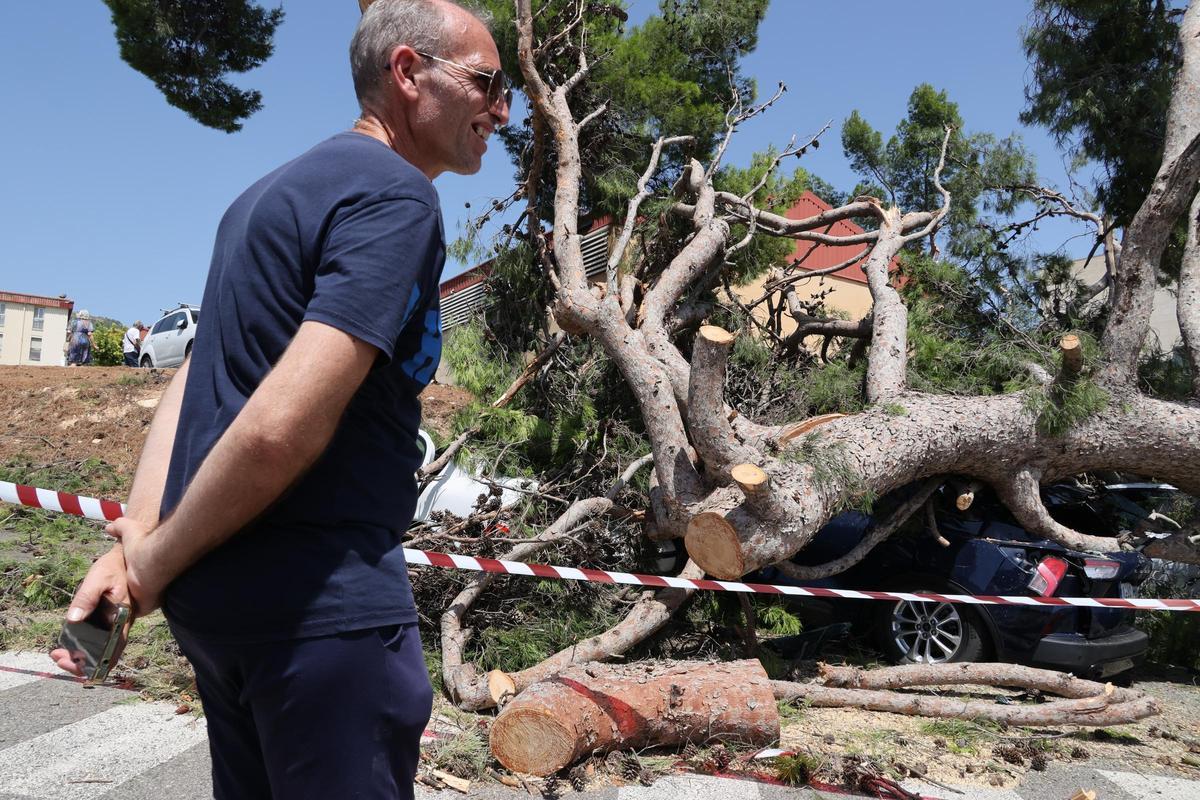 Imágenes del día después en Alcoy tras el temporal