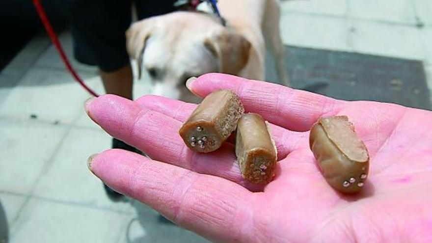 Aspecto que presentaban los trozos de carne con agujas en su interior hallados en unos jardines del barrio de Pinilla.