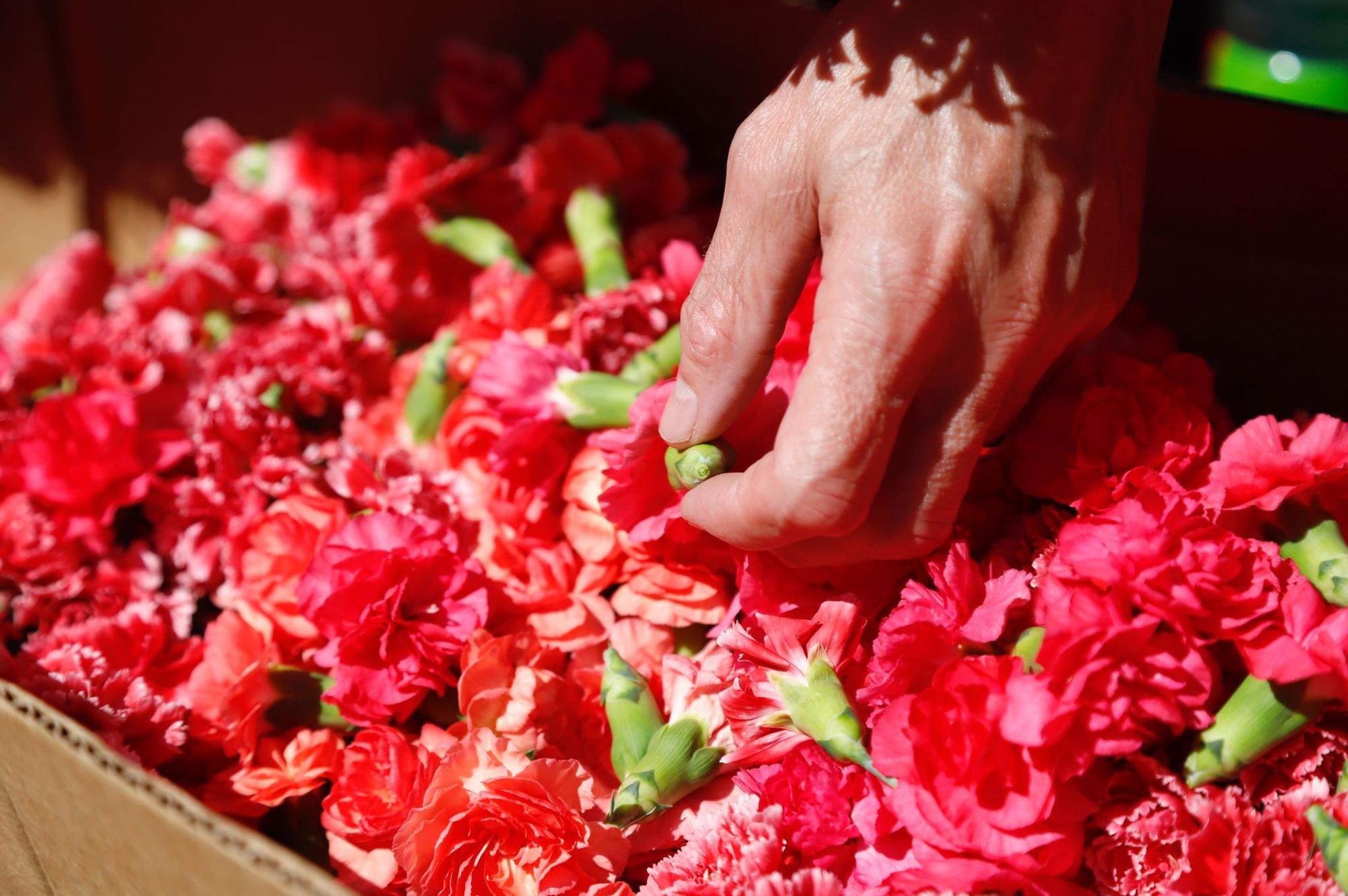 La Batalla de las Flores de Córdoba