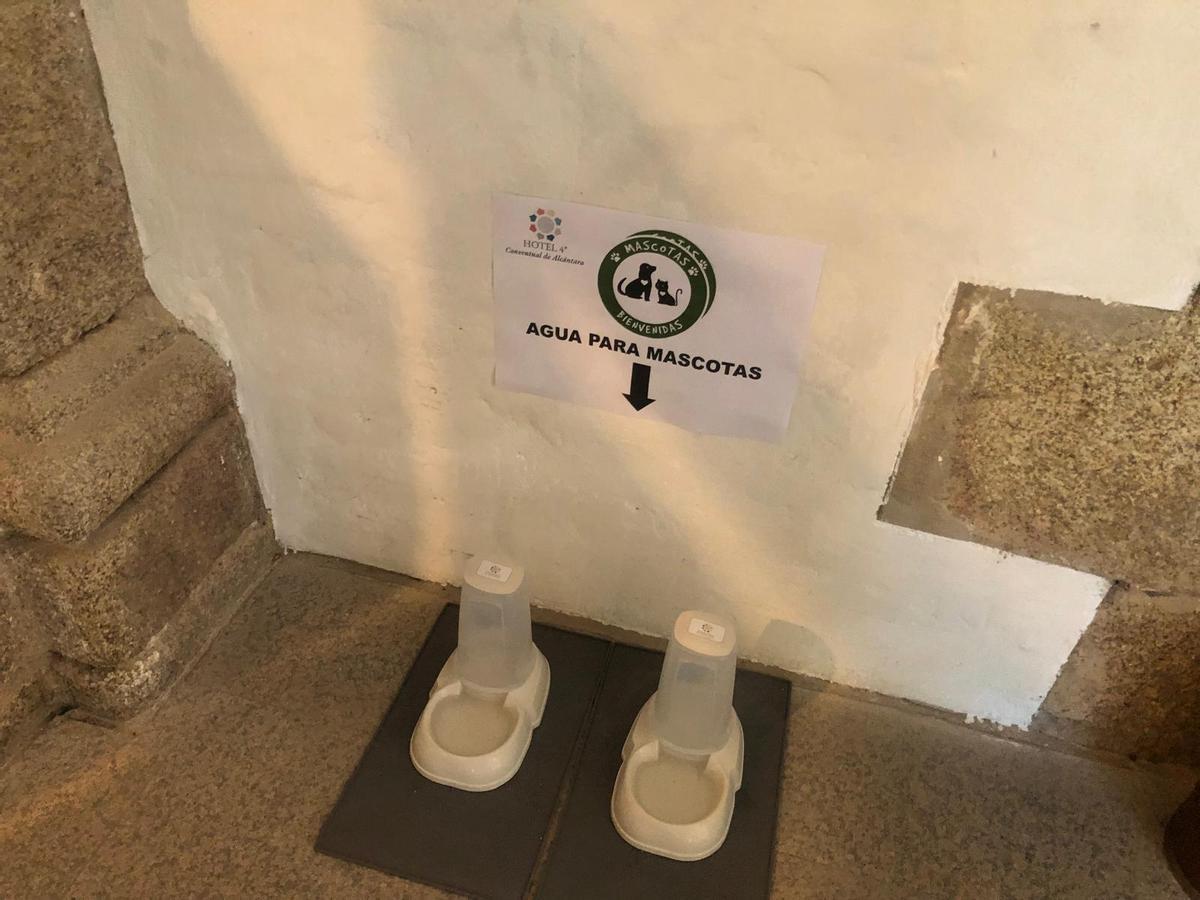 Alcántara, entre sábanas y sueños