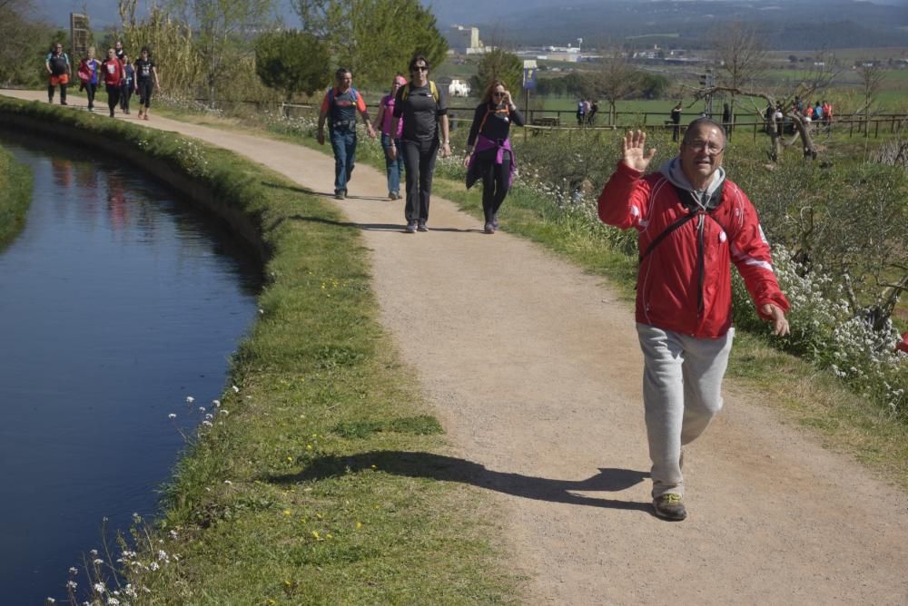 Totes les fotos de la Transèquia 2020