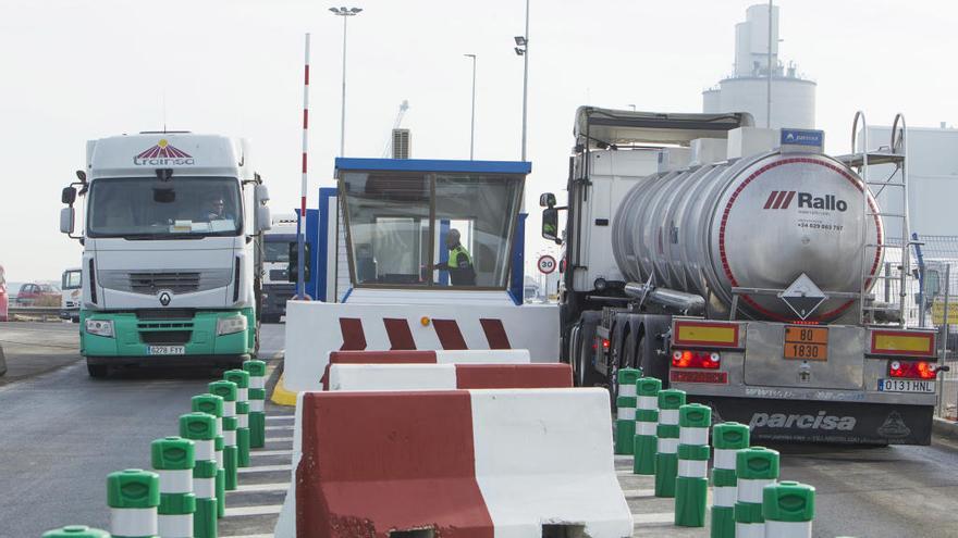 PortCastelló se convierte en nuevo punto de entrada del transporte de animales vivos