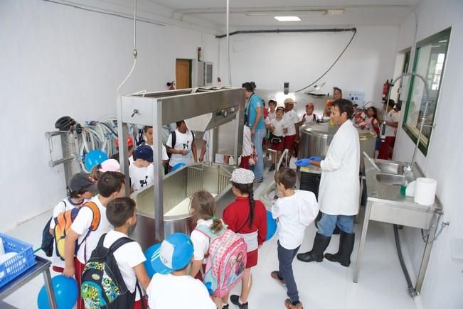 FUERTEVENTURA - Más de 2.500 escolares de Fuerteventura se acercan al sector primario en la Feria de Agricultura, Ganadería y Pesca - 21-04-17