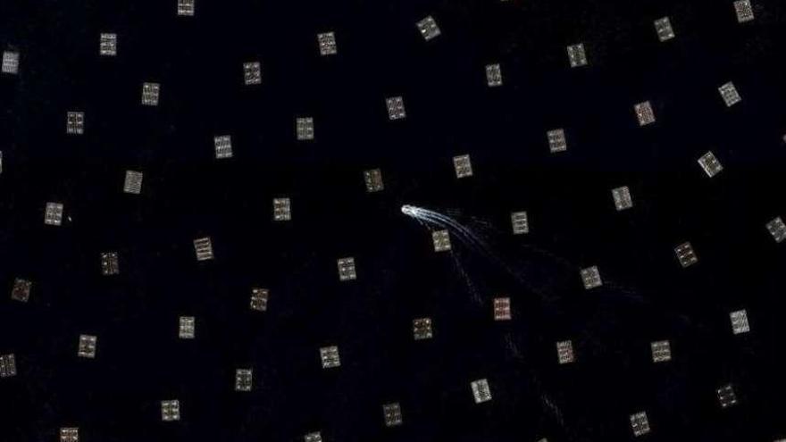 La imagen de las bateas arousanas tomada desde el satélite.  // Google Earth