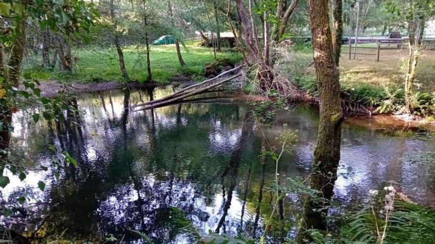 Un árbol inutiliza la «playa fluvial» de Os Muíños | DANIEL G. ALÉN
