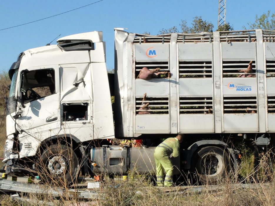 Bolca un camió carregat de porcs a Bàscara