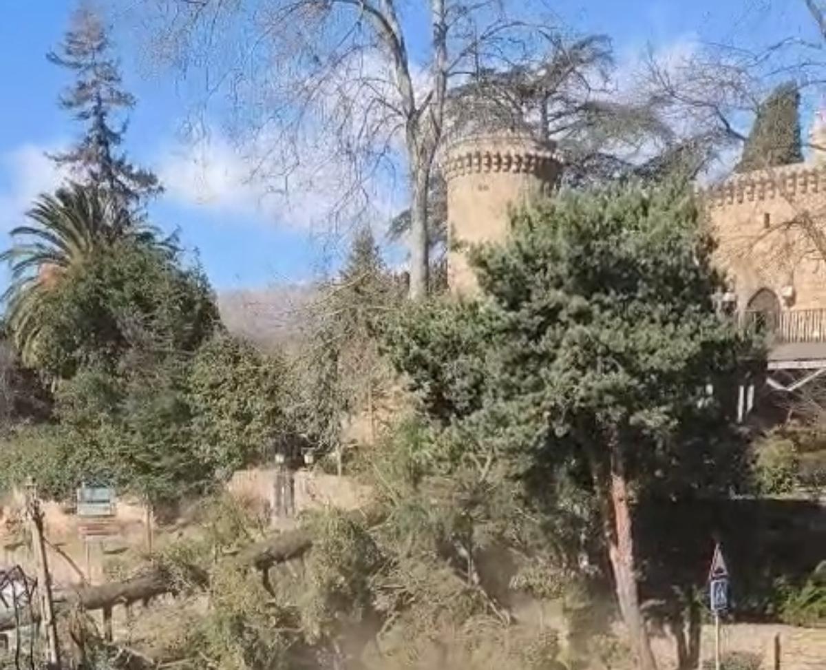 Imagen de los árboles caídos junto al Parador de Jarandilla, extraída de un vídeo.