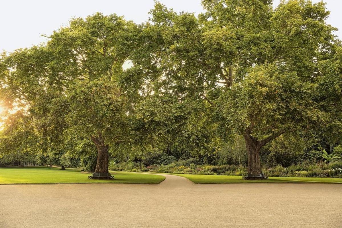 Jardines palacio de Buckingham